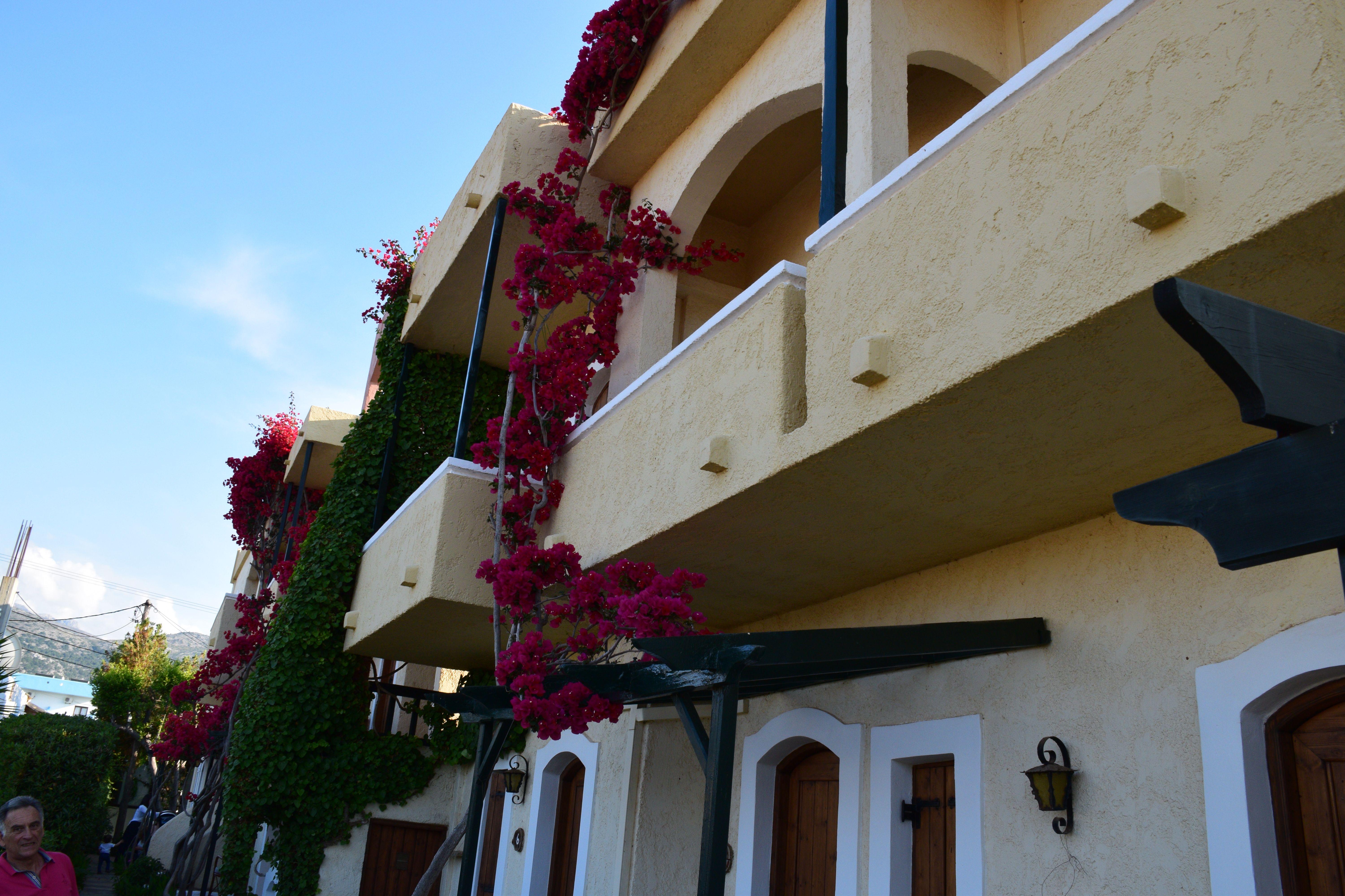 Mila Malia Studios Hotel Luaran gambar