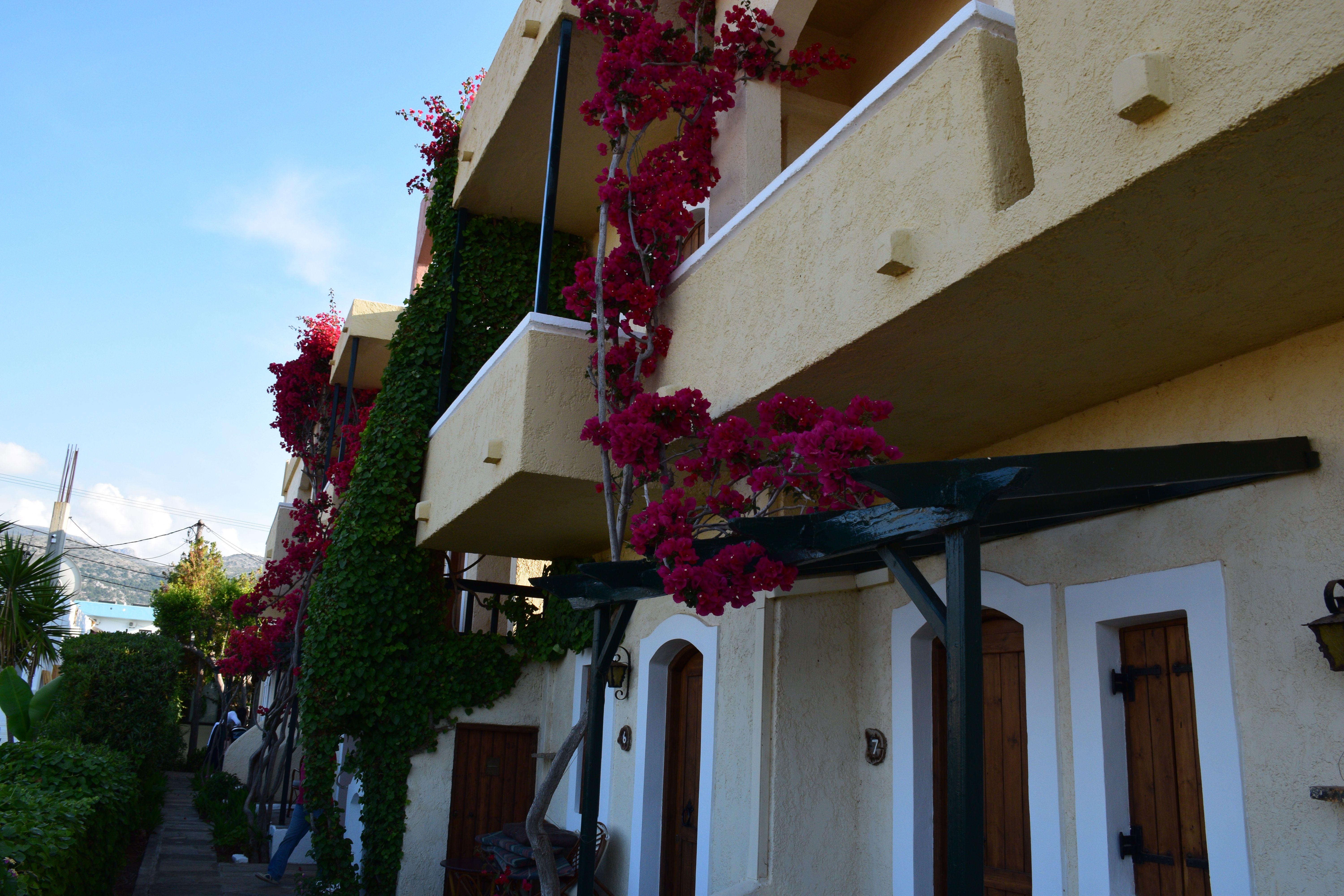 Mila Malia Studios Hotel Luaran gambar
