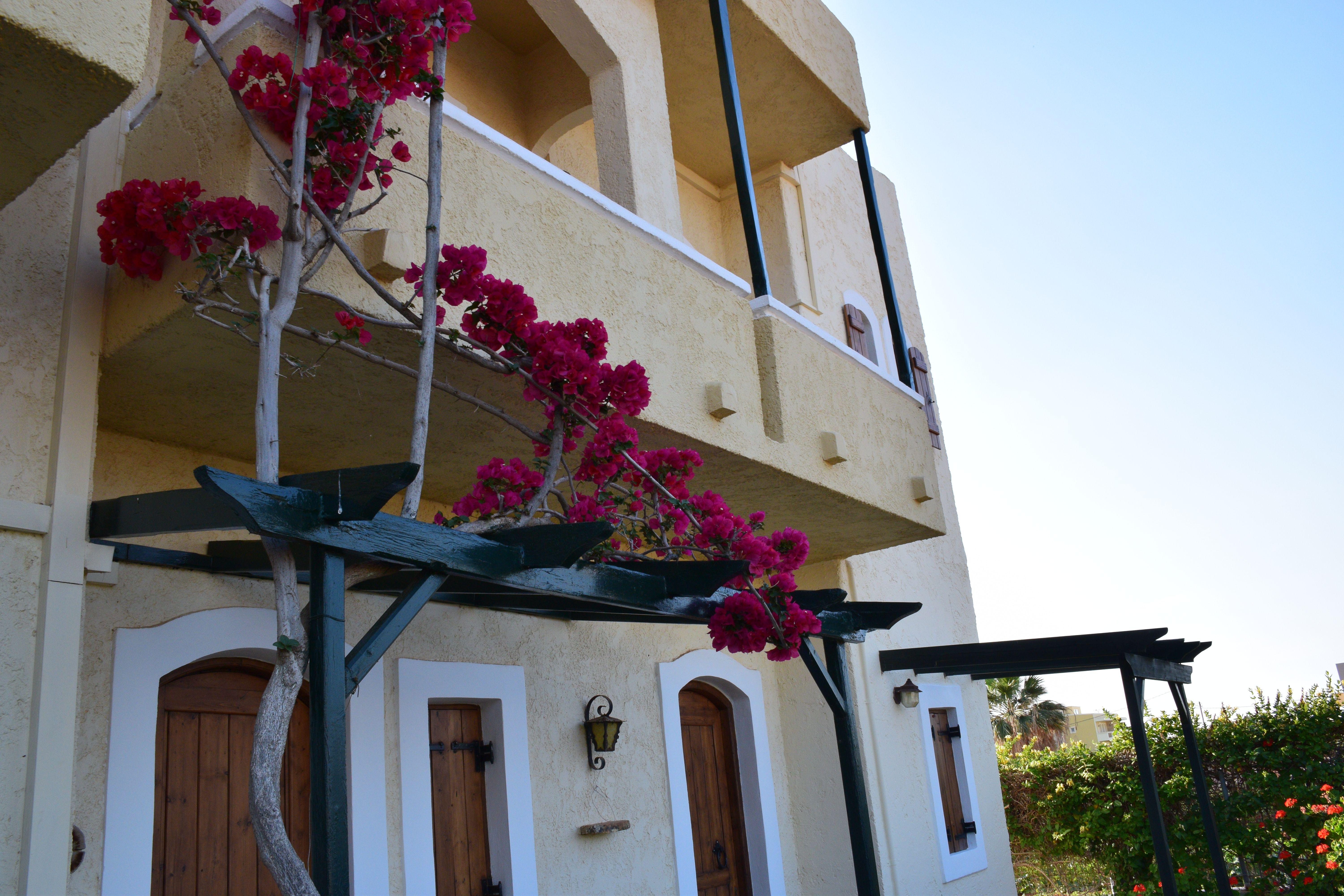 Mila Malia Studios Hotel Luaran gambar